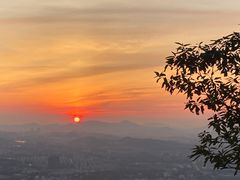 -紫金山山顶公园