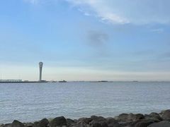 -上海吴淞炮台湾国家湿地公园