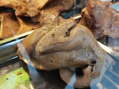 -洪记白水羊头(天坛店)