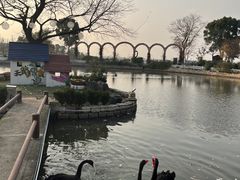-鹅湖玫瑰文化园
