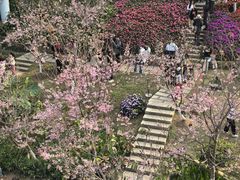 -狐尾山公园
