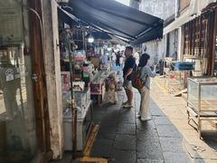 -嘉兴月河历史街区