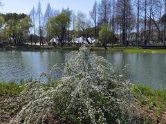 -渤公岛生态公园