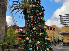 -木乃伊复仇过山车