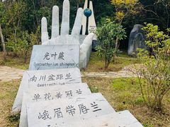 -普洱太阳河森林公园