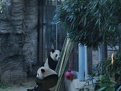 -北京动物园
