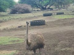 -卡塞拉自然公园