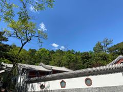 -阳台山自然风景区