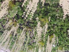 -三福(骡马市步行街店)