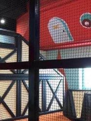 -Eureka优瑞卡儿童主题乐园(合生汇购物中心店)