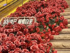 -万科生活广场(东莞松山湖店)