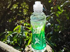 -东南悬空寺方广岩