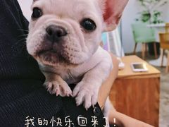 -GOOD好事咖啡(会展城店)
