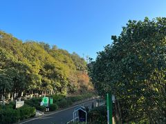 -火炉山森林公园