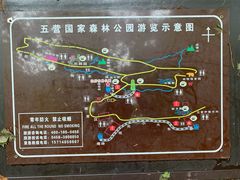 -五营红松林海景区