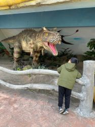 -宝燕乐园(闵行旗舰店)