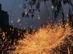 -海合安武汉极地海洋公园