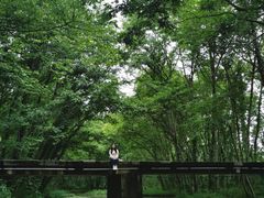 -西溪南古村落