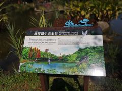 -深圳仙湖植物园