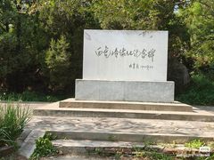 -白水寺森林公园