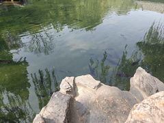 -趵突泉景区