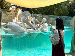 -波塞冬旅游度假区