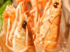-Mr·Fish鱼鲜生海鲜放题(银泰in99店)