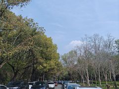 -同里国家湿地公园