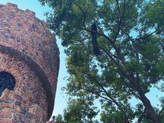 -J Create城市露营咖啡·简餐·宠物(上海动物园店)