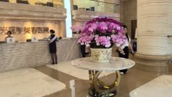 -广州曙光医学美容医院