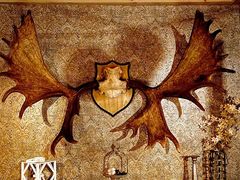 -秃鹫湾·推理大师沉浸式实景演绎推理剧场