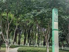 -后襄河公园