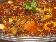 -馋嘴猫北京食堂·烤鸭·宵夜(亚运村店)