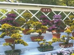 android_upload_pic-迎泽公园