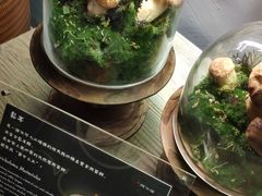 -原牛道·潮汕围炉火锅(讯美店)