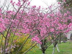 -狼山风景名胜区