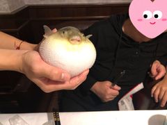 -肆月河豚·新淮扬(金融街店)