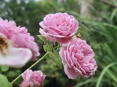 -白鹭湾湿地公园