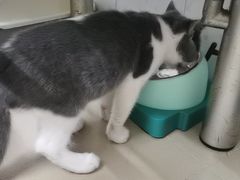 -宠颐生宠物医院外科·内科·皮肤科·影像科(石龙店)