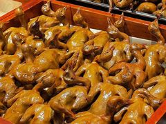 -燕郊烧鸽子(酷车小镇店)