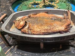 -哈啾嗨·新概念蒙餐(红星新城店)