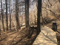 -白草畔自然风景区