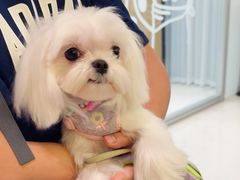 -帕帕拉兹宠物(亚洲旗舰店)