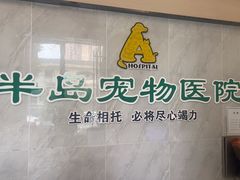 -半岛宠物医院24小时(科华中路店)