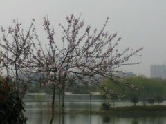 -中国药科大学（江宁校区）综合门诊部