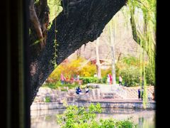 -北京动物园-畅观楼