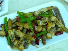 辣炒蛭子-海岛渔村大酒店(云霄路店)