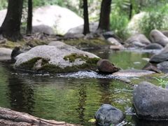-碓臼峪自然风景区