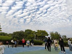 -安徽大学(磬苑校区)