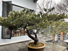 -山外山菜馆(玉泉路店)